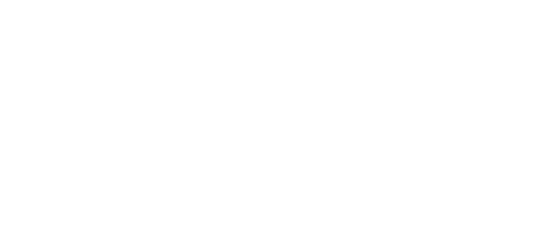 Formula 1